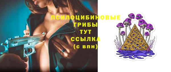 индика Нязепетровск