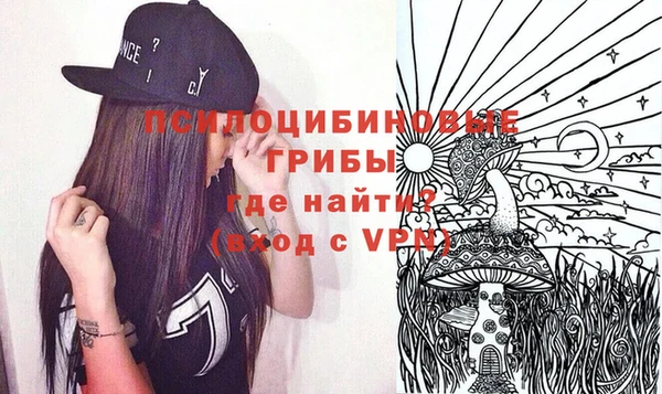 индика Нязепетровск