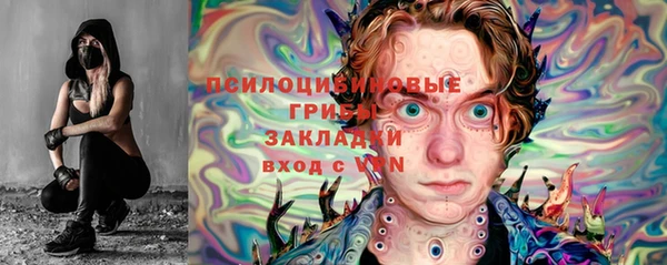 индика Нязепетровск
