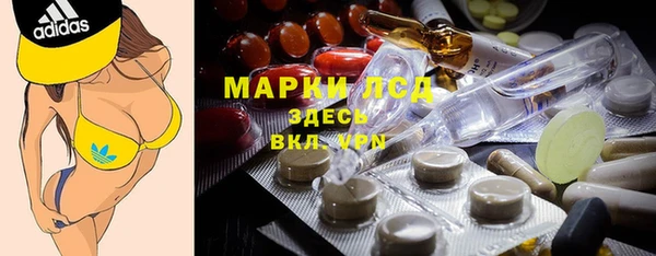 индика Нязепетровск