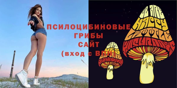 прущая мука Няндома