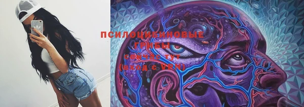 индика Нязепетровск